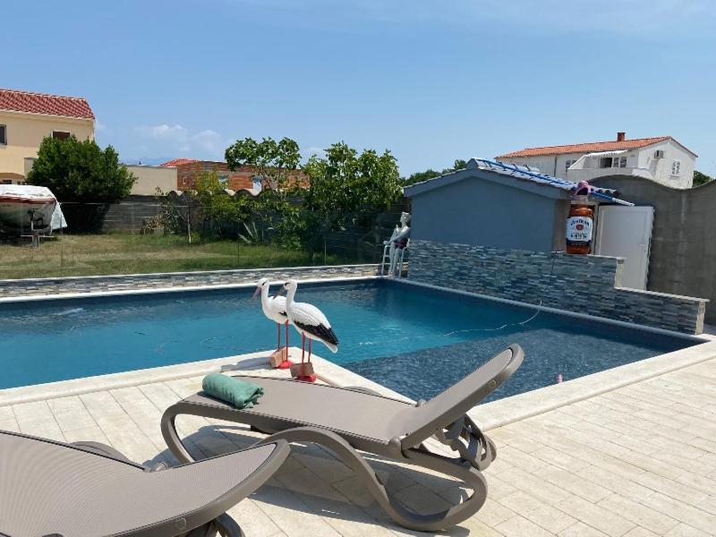 Croliday Apartment With Pool Nin Vrsi Extérieur photo